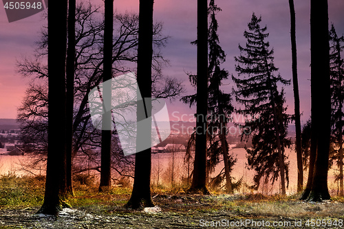 Image of Sunset in a forest in Bavaria