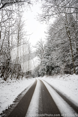 Image of Road with trees and snow