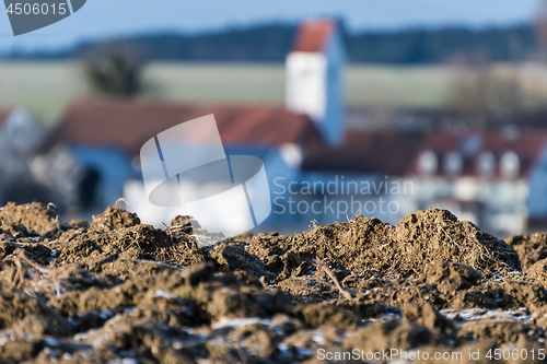 Image of Closeup of a field with village in background