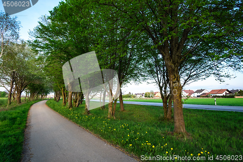 Image of image of a bikeway and walkway with trees and grean meadow