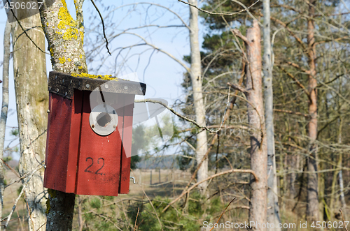 Image of Red bird house in a tree