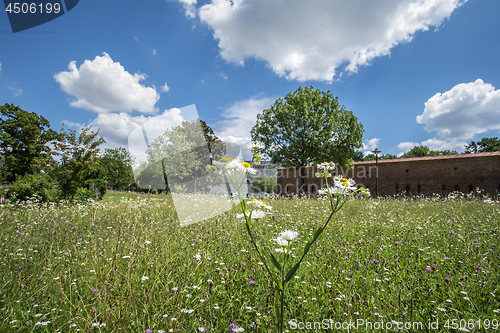 Image of View towards Klenze Park in Ingolstadt