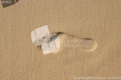 Image of Footprint