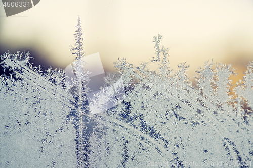 Image of Morning frost on a window in the sunrise