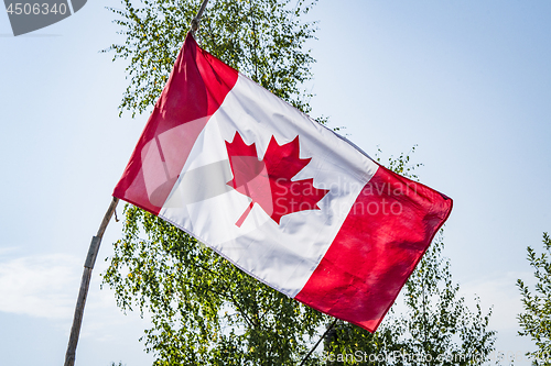 Image of Canadian flag on a wooden stick with trees