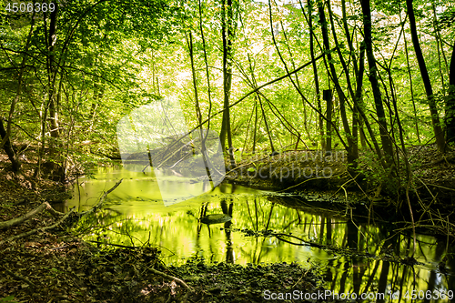 Image of River with green color reflecting from the trees