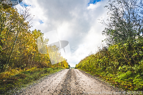 Image of Dirt road in the fall with tree in autumn colors