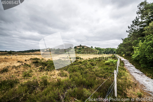 Image of Dry plains in cloudy weather with sheeps