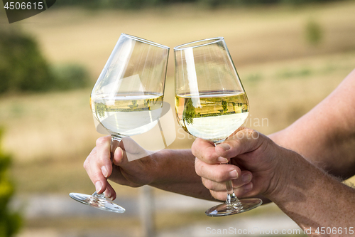 Image of Wine glasses with reflections of beautiful nature