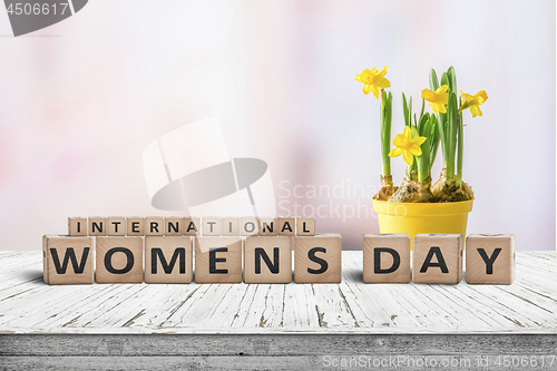 Image of International Womens day sign with a yellow daffodil flower