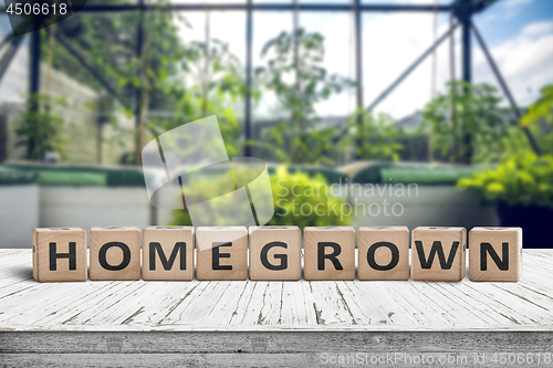 Image of Homegrown food ingredients sign on a wooden table