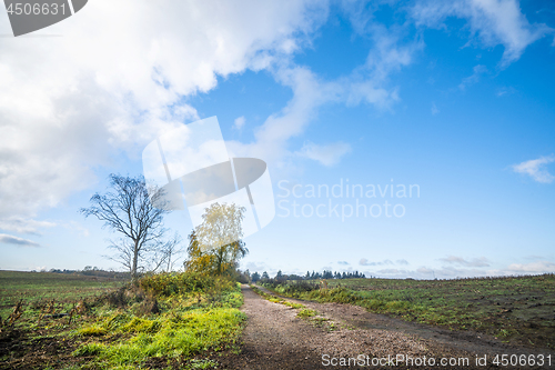 Image of Countryside road in the fall with trees in autumn colors