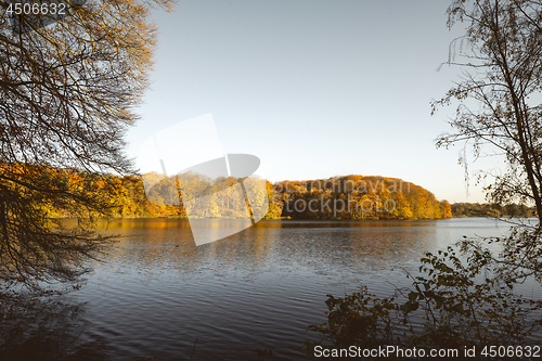 Image of Lake in the fall surrounded by trees