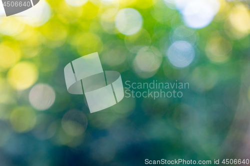 Image of Bokeh background. Blurred yellow green abstract layout with white bokeh circles