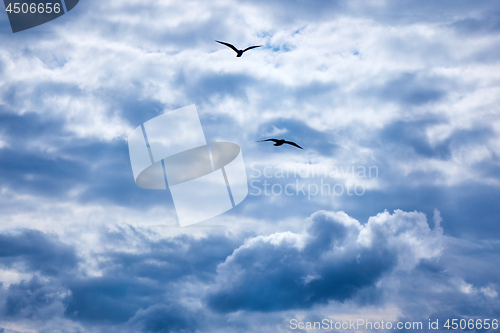 Image of clouds in the blue sky