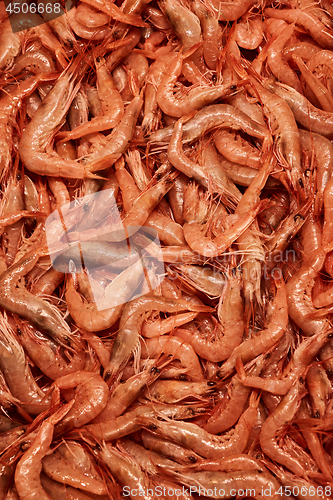 Image of fresh raw shrimp