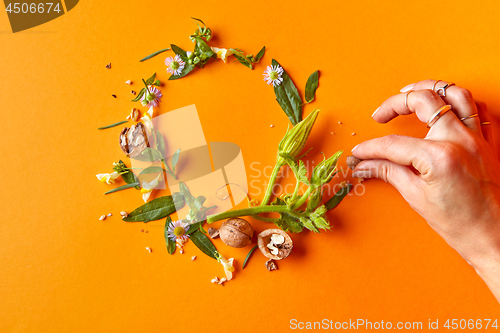 Image of beautiful frame of flowers and leaves