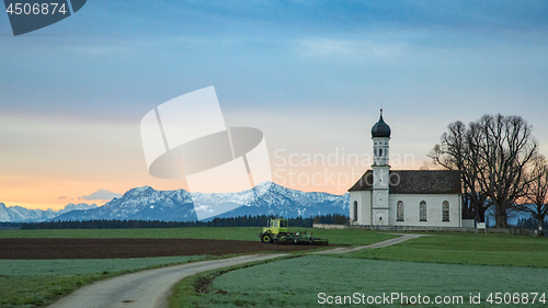 Image of Morning farming in green Alpine field