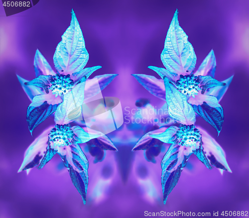 Image of Psychedelic Neon Glowing Floral Mirror Pattern