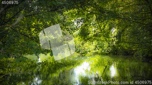 Image of Green river Voiselle in marshes in Bourges, France