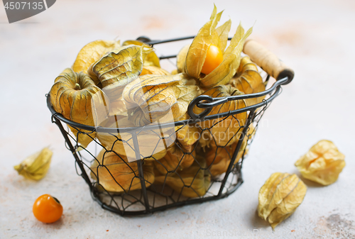 Image of Physalis