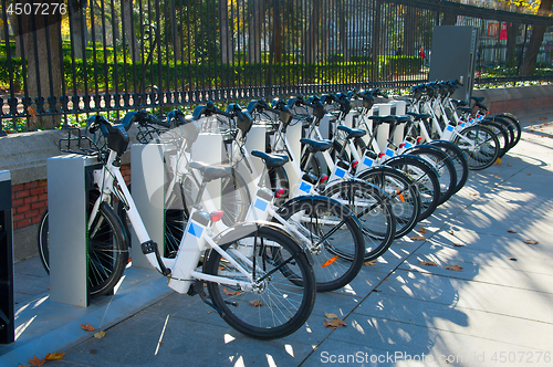 Image of Row of bikes for rent