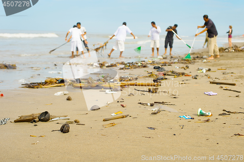 Image of People cleaning polluted beach. Bali