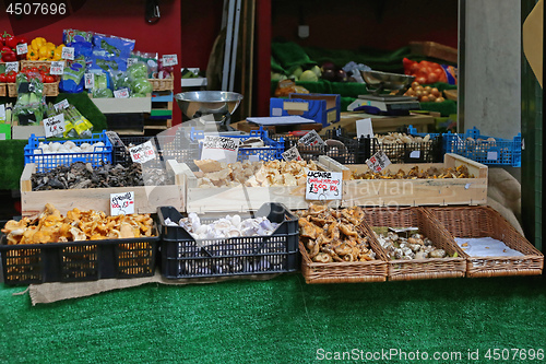 Image of Mushroms Market