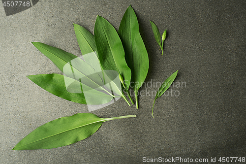 Image of Wild garlic