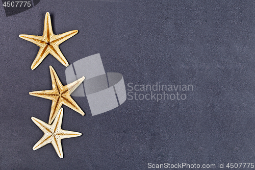 Image of Top view of three starfish on black background.