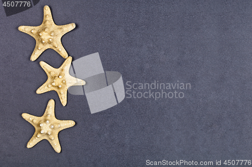 Image of Top view of three starfish on black background.