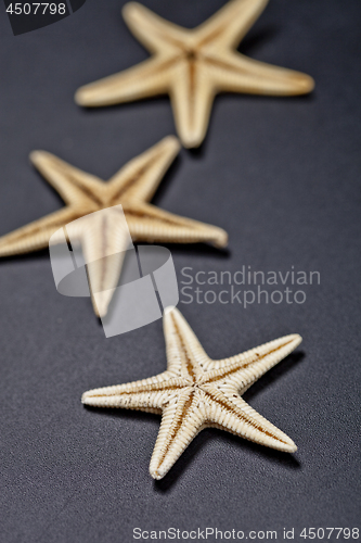 Image of Three starfish on black background.