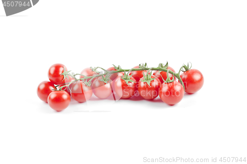 Image of Fresh organic cherry tomatoes bunch isolated on white.