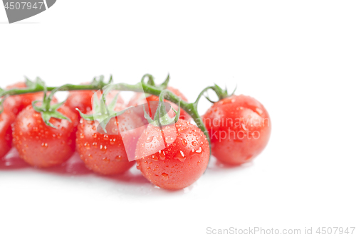 Image of Fresh organic wet cherry tomatoes bunch.