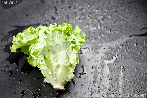 Image of Green organic lettuce salad with water drops on black background