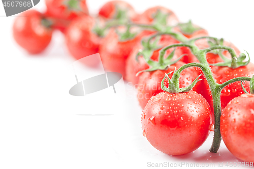 Image of Fresh organic wet cherry tomatoes bunch closeup isolated on whit