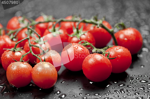 Image of Fresh wet organic cherry tomatoes bunch closeup on black.