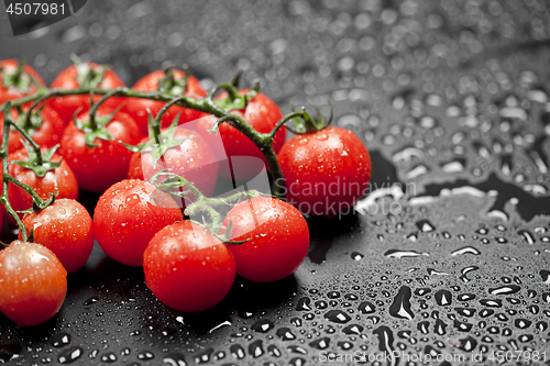 Image of Fresh organic cherry tomatoes bunch closeup on black wet backgro