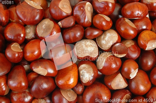 Image of Chestnuts