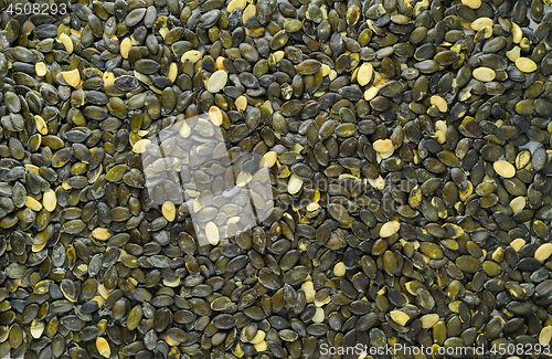 Image of pumpkeen seeds scattered over stone board