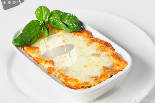 Image of Fresh hot lasagna on white