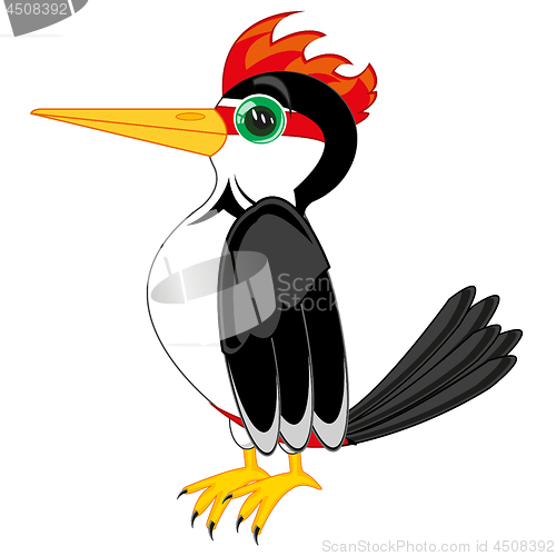 Image of Vector illustration of the bird woodpecker cartoon