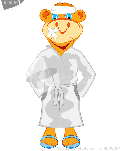 Image of Vector illustration of the cartoon animal in hospital