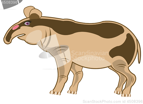 Image of Animal tapir on white background is insulated