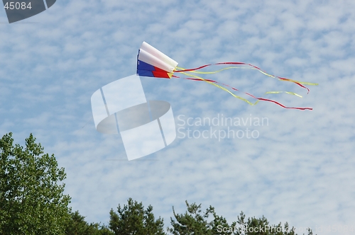 Image of Kite