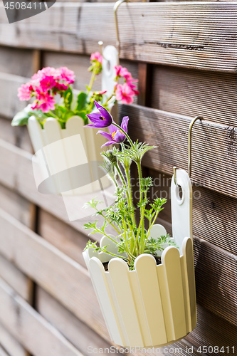 Image of Detail of hanging flower pots on fence