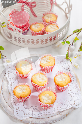 Image of Small curd cheese muffins or cupcakes