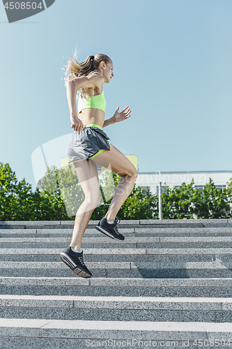 Image of Pretty sporty woman jogging at park in sunrise light