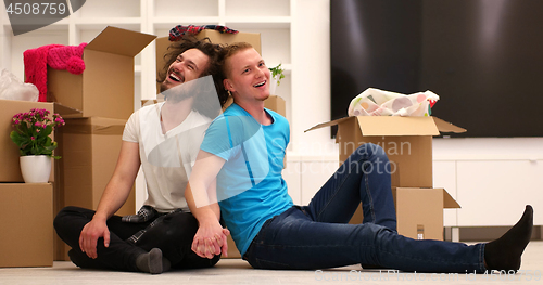 Image of young  gay couple moving  in new house