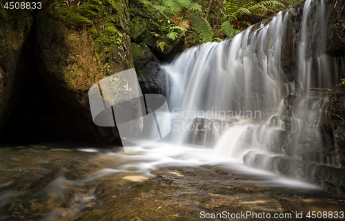 Image of Waterfall in lush mountain gully